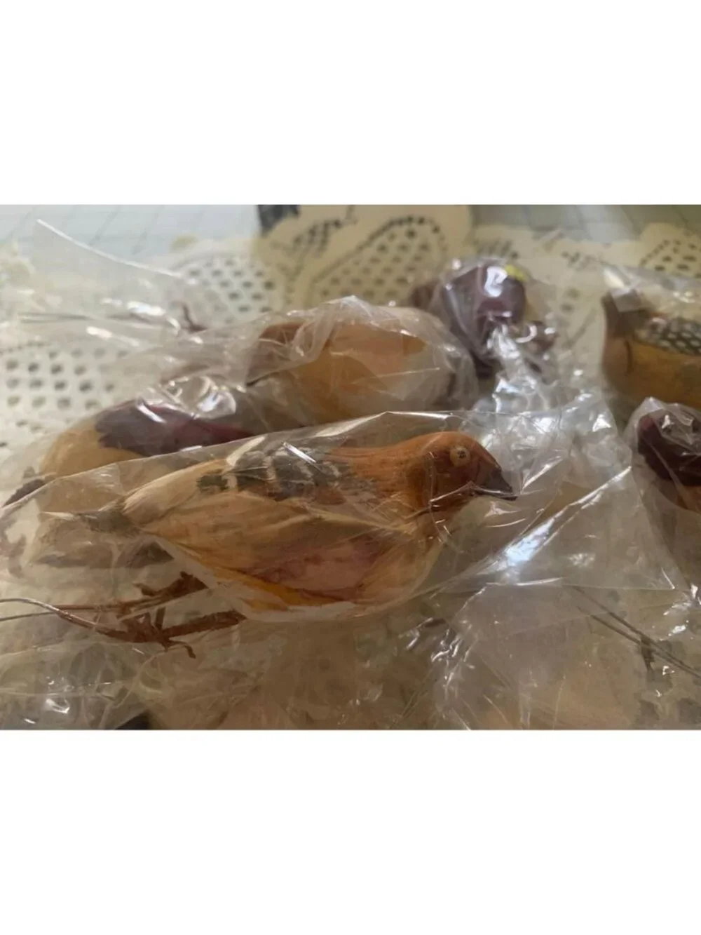 Vintage Feathered Birds Set of 12 Hong Kong 3